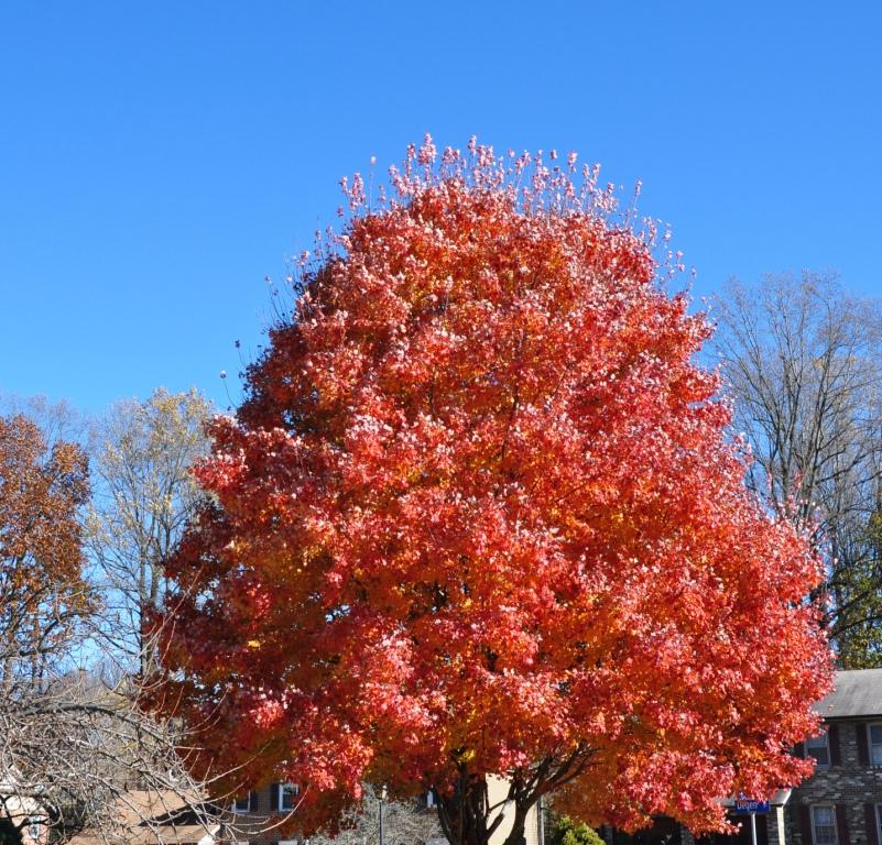 Cherry Run Homeowners Association Home Page